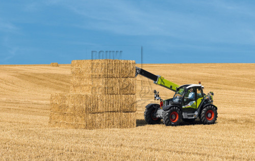 Scorpion 848